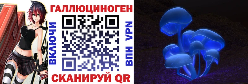Галлюциногенные грибы MAGIC MUSHROOMS  Никольск 